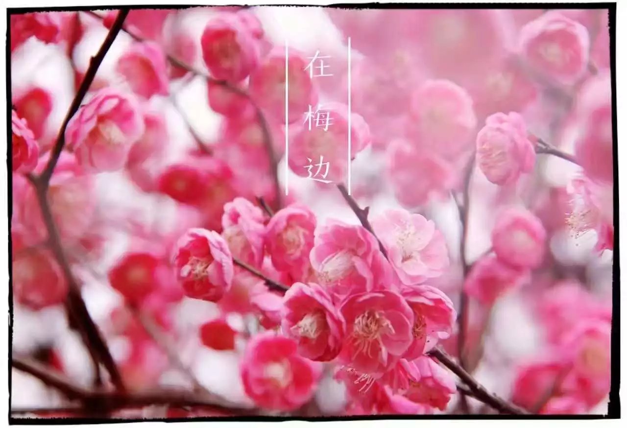 免费约炮
